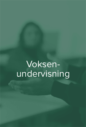 Voksenundervisning